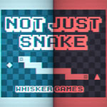 Jeu Not Just Snake