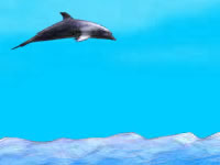 Jeu Dolphin