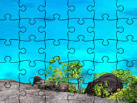 Jeu Jigsaw Puzzle Seychelles