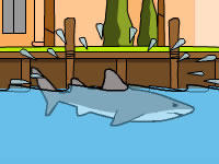 Jeu Miami Shark