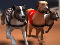 Jeu Greyhound Racing