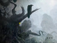 Jeu Mysterious Foggy Forest Escape