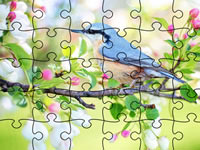 Jeu Jigsaw Puzzle Spring