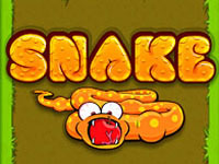 Jeu Snake Game