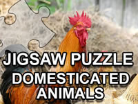 Jeu gratuit Jigsaw Puzzle Domesticated Animals