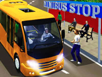 Jeu City Minibus Driver