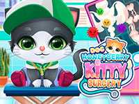 Jeu gratuit Doc HoneyBerry Kitty Surgery