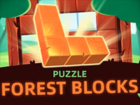 Jeu gratuit Puzzle Forest Blocks