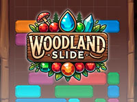 Jeu gratuit Woodland Slide