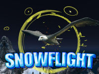 Jeu Snowflight