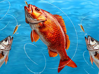 Jeu Russian Fishing at Sea