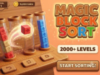 Jeu Magic Block Sort